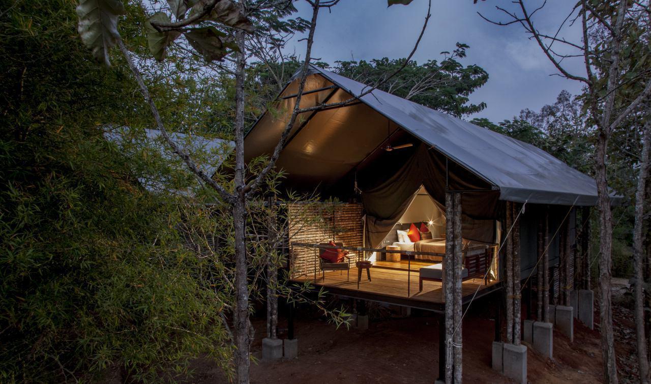 Kaav Safari Lodge, Kabini Begūr Rum bild