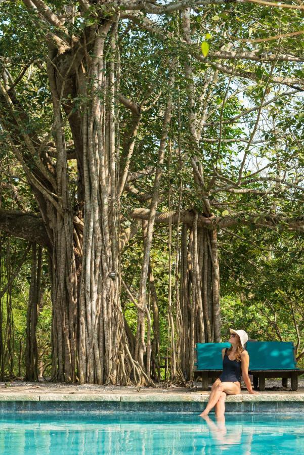 Kaav Safari Lodge, Kabini Begūr Exteriör bild
