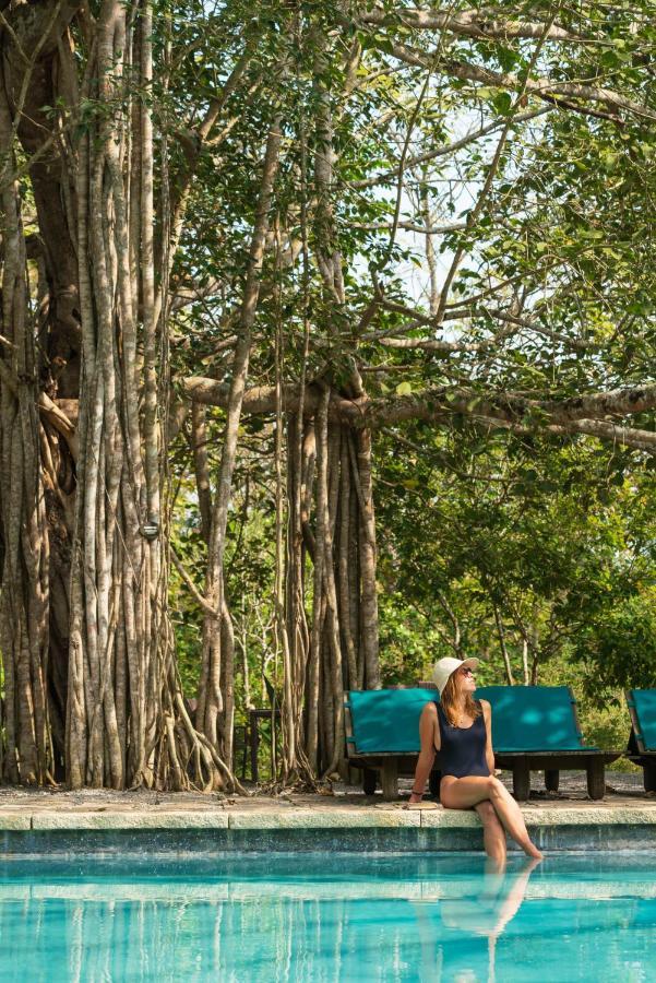 Kaav Safari Lodge, Kabini Begūr Exteriör bild