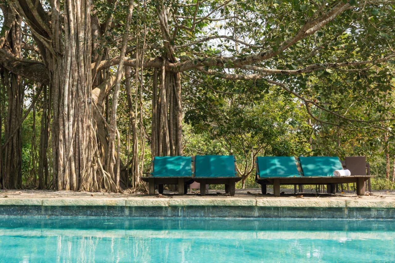 Kaav Safari Lodge, Kabini Begūr Exteriör bild