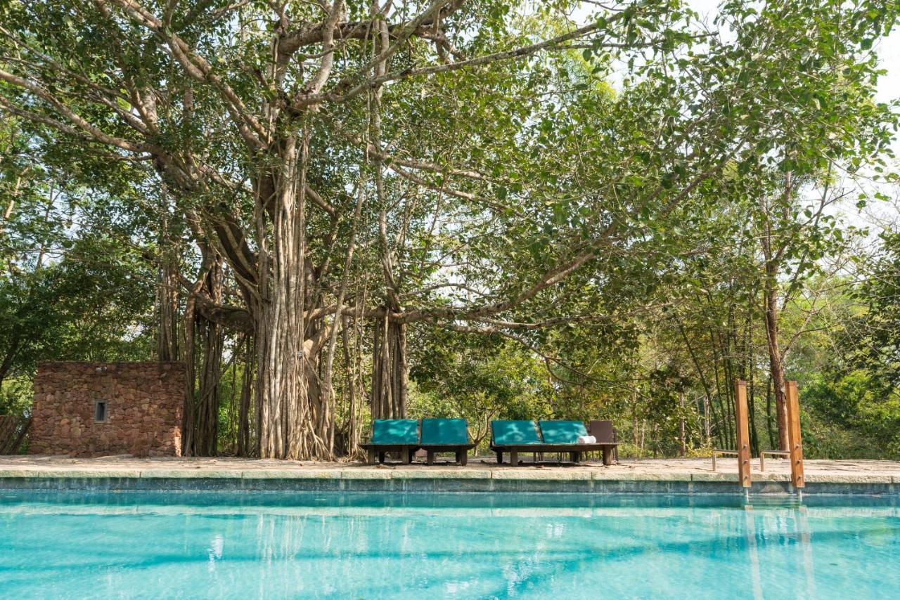 Kaav Safari Lodge, Kabini Begūr Exteriör bild