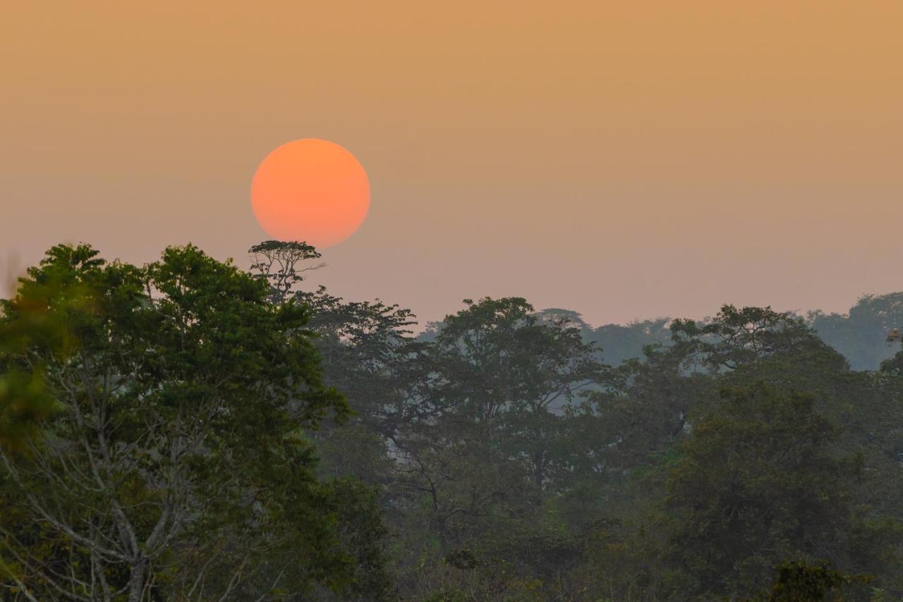 Kaav Safari Lodge, Kabini Begūr Exteriör bild
